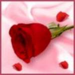 انجینئر! شاہد صدیق خانزادہ